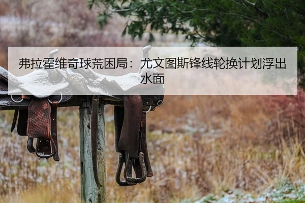 弗拉霍维奇球荒困局：尤文图斯锋线轮换计划浮出水面