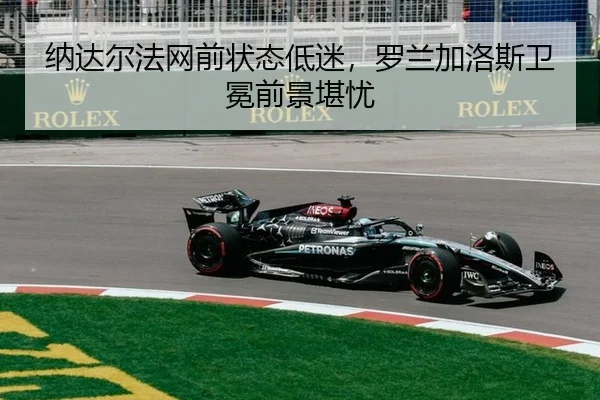 na-da-er-fa-wang-qian-zhuang-tai-di-mi-luo-lan-jia-luo-si-wei-mian-qian-jing-kan-you-2-235.jpg