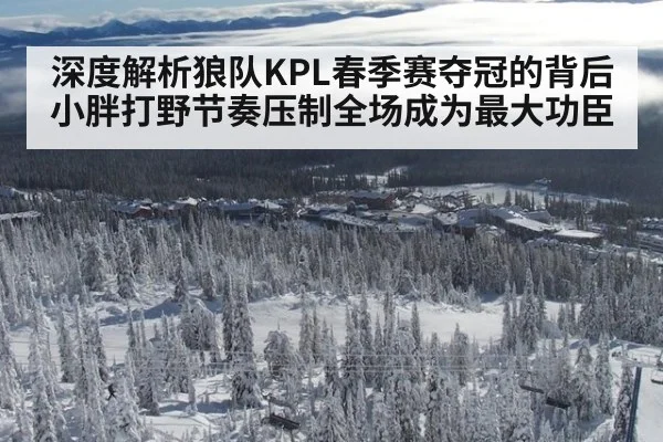 深度解析狼队KPL春季赛夺冠的背后小胖打野节奏压制全场成为最大功臣